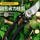 German craftsmanship imported steel branch shears, tree shears, fruit tree shears, pruning scissors for household flowers, trees and grapes to prune branches. Manufacturer provides welfare/loss impulse/not the main model. High carbon steel large shears. Extra sharp/100 times saving.