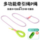 Hanhan pet dog leash P rope dog training P chain dog leash dog walking rope explosion-proof dog chain for medium and large dogs Labrador 2.2 meters long version purple diameter 1cm recommended 1-120 Jin Jin is equal to 0.5 kg