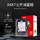 海康威视（HIKVISION）硬盘录像机可用监控8TB紫盘机械硬盘垂直服务器CMR西部数据台式机适用