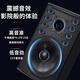 Koda Joy 1 professional stage audio 12-inch large conference room ktv private room outdoor event wedding passive speaker