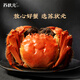 Live crab Su Zhuangyuan fresh hairy crab spot male 4.5-4.8 two female 3.5-3.8 two 4 pairs 8 crabs large rope-free full-weight seafood gift box