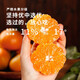 Shengrong Fruits and Vegetables Linhai Yongquan Mandarin Oranges SF/EMS-Next Day Delivery to Many Places Huangyan Mandarin Oranges Seasonal Fresh Fruits Tribute Grade Single Fruit 70-80mm Best Choice for Gifts 10Jin Jin Equivalent to 0.5kg Gift Box Premium Yongquan Mandarin Oranges Net 9Jin Jin Equivalent to 0.5kg