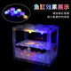 Trendy lifestyle appliances colorful lantern fish tank, fish tank + 1 lantern (comes with colorful stones and aquatic plants)