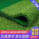 Simulated lawn carpet artificial plastic green balcony outdoor floor mat kindergarten artificial bedding decorative fake turf 3 meters wide 7 meters long 2 cm encrypted spring grass
