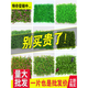 Simulated lawn carpet, artificial plastic mat, artificial fake turf yard, outdoor green plant fence, artificial fake grass mat 25*25 medium grass