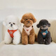GIAHANDXB-008 Dog Harness with Traction Rope Vest Style Beige Harness + Multifunctional Traction Rope M Recommended Bust 43-51cm 7-13Jin Jin equals 0.5kg
