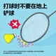 Deli youth badminton racket wear-resistant, lightweight and quality basic training badminton racket pairing