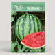 Shouhe watermelon seed seedlings Kirin 8424 thin-skinned large melon super sweet fruit seeds Weifeng Crunchy 8424 seeds 40 capsules