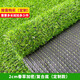 Liangxiang Simulated Lawn Carpet Plastic Artificial Green Fake Turf Kindergarten Balcony Outdoor Padding Courtyard Engineering Fence 3mx1m Spring Grass 2cm Encrypted Style