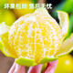 Guangdong Ying Guangxi Emperor Mandarin pure sweet fruit thin-skinned tangerine mandarin orange Wogong mandarin orange bursting juice is delicious and inexpensive fresh 5 Jin Jin equals 0.5 kg Selected fruit bursting sweet and juicy Net 4.5 Jin Jin equals 0.5 kg