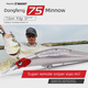 Dahe Run Dongfeng 75m sol Nongfeng n ° 9 Magnetic Storm Remote System Hook-bouche basse séduction noire 11975 mm 9,5g