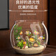 Round household transparent small fish tank desktop 4K ultra-clear desktop fish tank decoration and ornamental one-piece desktop ecological aquarium turtle tank goldfish tank round fish tank giant 24.5*26.5*29cm
