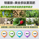 Yifengyuan organic and inorganic compound fertilizer slow-release fertilizer vegetable fertilizer fruit tree fertilizer flower fertilizer green radish succulent rooting green leaf nitrogen, phosphorus and potassium fertilizer 15-6-9 organic and inorganic compound fertilizer 500g (genuine licensed goods | original packaging | large quantity, please contact customer service)