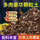 Flower Master Succulent Nutritional Soil Special Granular Soil Succulent Soil Potted Planting Soil for Seedlings and Old Piles Breathable Soil Luxurious Succulent Soil 5Jin Jin is equal to 0.5kg, universal for seedlings.