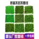 Simulated lawn carpet, artificial plastic mat, artificial fake turf yard, outdoor green plant fence, artificial fake grass mat 25*25 medium grass