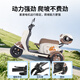 Phoenix Beetle electric vehicle tricycle small household electric motorcycle adult leisure three-wheeled small electric vehicle 800W+60V24A black gold + battery life of about 47.5 kilometers