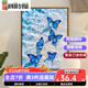 咔佐蝴蝶数字油画2025新款画画消磨时间神器diy手工油彩画填色丙烯画 SJ14699 50*65cm相框(颜色可选)+画笔颜料