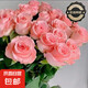 Rose Flower Shop's same flower Kunming base direct birthday fresh-cut bouquet vase Chinese Valentine's Day gift 8+2 pink roses (loss prevention, no after-sales service)