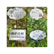 Stainless steel tree sign spring tension spring rope hanging chain stainless steel material can be retracted without damaging the tree sign sign customization stainless steel 0.8*20CM spring including one screw 0x0cm