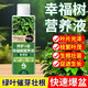 OUOETY leaf spot disease happy tree special fertilizer nutrient solution for flower cultivation, dry and fallen leaves hydroponic potted plant resurrection liquid happy tree nutrient solution 800ml*2 bottles