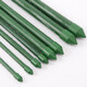 Plastic-coated steel pipe gardening support pole, cucumber, beans, grapes, vegetable climbing pergola, green plant rack, climbing frame, diameter 11mm, length 180cm, 10-pack