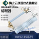 10KV outdoor high-voltage drop-out fuse RW1215200A new Lynk safety switch