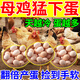 Egg-producing egg-producing egg-producing egg-increasing treasure special additive for hens, ducks and geese egg-laying feed, egg-stimulating spirit when it is too cold to lay eggs, buy 2 get 1 free, double egg laying