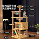 【京东快递】家用猫咪猫爬架太空舱猫树一体猫抓板耐磨跳台猫抓柱 8层剑麻柱【加大猫屋+双太空舱】