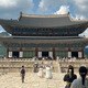 5-day free travel to Seoul, South Korea, departing from all over the country, round-trip air tickets + group visa, additional hotel/airport transfer/chartered car/one-day tour, etc. Direct flight to Shenyang (air tickets + group visa), daily price (please inquire for specific dates), JD price