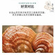 Zhizhitang Changbai Mountain selenium-rich organic red Ganoderma spore powder produced in Jilin, official and authentic, to enhance immunity for middle-aged and elderly people. Three bottles can be consumed for 135 days.
