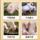 Ruixuan Zhenpin Silly Eater Feed Additive 2.5kg/barrel 5 Jin Jin equals 0.5 kg, 5000 Jin Jin equals 0.5 kg of mixing material, Silly Eat Meng Sleep Long Fatty Zhuang 3 barrels (15 Jin Jin equals 0.5 kg, 15000 Jin Jin equals 0.5 kg of mixing material)
