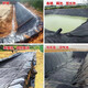 Fish pond anti-seepage membrane geomembrane black plastic leak-proof fish pond special membrane lotus pond membrane thickened pool membrane waterproof cloth 0.5mm thick new material 2 meters wide and 30 meters long