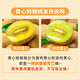Jingmi Pujiang yellow-heart kiwi fruit 10 pieces, single fruit 110-130g, fruit Mid-Autumn Festival gift shipped directly from the origin