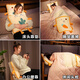 Ivy Car Pillow Quilt Dual-Purpose 2-in-1 Office Nap Blanket Back Pillow Quilt Air Conditioner Quilt Carrot Toast