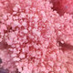 Gypsophila dried flower bouquet preserved flower material cherry blossom powder