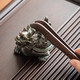 Tangfeng (TANGFENG) color-changing tea pet small ornaments can raise tea insects, creative turtle tea play, tea accessories on the new Chinese tea table, color-changing turtles