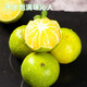 Guangdong Ying Guangxi Emperor Mandarin pure sweet fruit thin-skinned tangerine mandarin orange Wogong mandarin orange bursting juice is delicious and inexpensive fresh 5 Jin Jin equals 0.5 kg Selected fruit bursting sweet and juicy Net 4.5 Jin Jin equals 0.5 kg