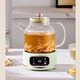 WIFER health pot all-glass kettle office mini tea maker stew all-in-one teapot household flower teapot small thermostatic pot multi-function mini electric kettle all glass 0 glue 12H constant temperature with stainless steel tea drain 1.5L