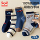 Catman children's socks 100% cotton + anti-mite and deodorant boys' autumn and winter mid-calf socks baby development period casual socks