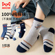 Catman children's socks 100% cotton + anti-mite and deodorant boys' autumn and winter mid-calf socks baby development period casual socks