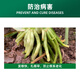 Nongweishi indole humic acid sapling transplanting cuttings root soaking general rooting agent 25g*10 bags 25g*10 bags
