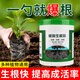Harvest Harvest Strictly Selected Plant Rooting Powder Universal Water-soluble Fertilizer Flowers, Vegetables, Fruits and Trees Transplanting Cuttings Special Rapid Rooting 500g