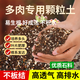Flower Master Succulent Nutritional Soil Special Granular Soil Succulent Soil Potted Planting Soil for Seedlings and Old Piles Breathable Soil Luxurious Succulent Soil 5Jin Jin is equal to 0.5kg, universal for seedlings.