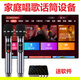 Projector TV karaoke wireless microphone home sound wall microphone with audio equipment set home KTV high-end version + 2 rechargeable microphones