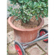 Yingtang flower pot handling artifact mobile cart size cart potted green plant gardening chassis tray dragon cylinder garden tool cart thickened floor truck (long cylinder diameter 75 internal use)