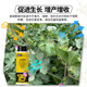 Yanzhishe Compound Sodium Nitrophenolate Growth Regulator Genuine Cotton Breaks Dormancy to Accelerate Rooting and Promote Growth Foliar Fertilizer Agricultural Materials 1 Bottle 500g Regulates Growth and Increases Production and Income
