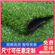Simulated lawn carpet, artificial artificial turf, green outdoor decoration, fake grass plastic mat, balcony kindergarten, 2cm thick spring grass (1m wide*2m long)