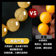 Shi Yue jewelry collection grade natural raw mineral beeswax single bead loose bead accessories full of honey chicken fat yellow demon flower white nectar 9-10mm