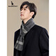 Kangaroo (DAISHU) men's scarf 2025 new winter outdoor warm wool containing fashion versatile business simple scarf for men pure gray