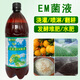 Yifuyuan EM bacterial liquid stock solution rotten fruit fermentation agent peel vegetable leaves kitchen waste water fertilizer organic fertilizer agricultural enzyme fermentation bacterial agent 1 bottle of EM bacterial liquid (1000ml)